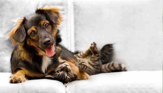 Is it toothbrush time yet?